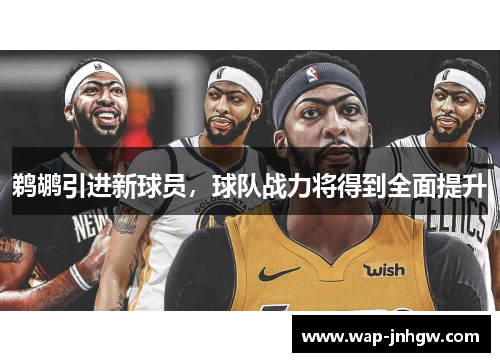 鹈鹕引进新球员，球队战力将得到全面提升
